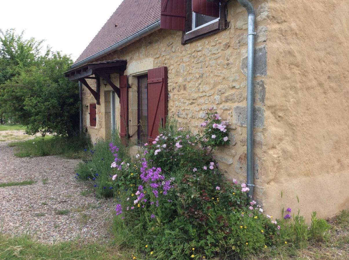 Le Moulin De Gateau Hotel Saint-Pierre-les-Etieux Exterior photo
